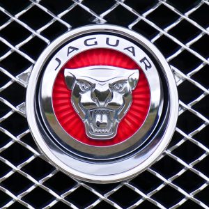 Close-up of Jaguar car emblem on a metallic chrome grille with a red background.